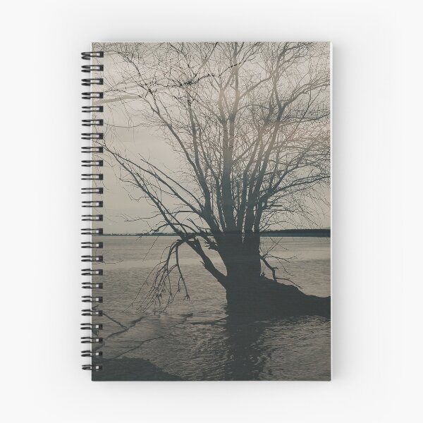 Item preview, Dark Willow Tree Moody Lakeside Photography designed and sold by Vita-Kvitash.