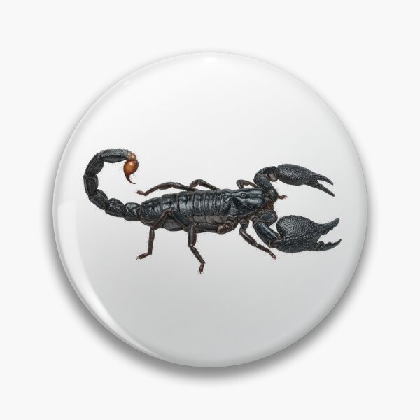 Item preview, Emperor Scorpion Pandinus imperator designed and sold by Chaoscience.