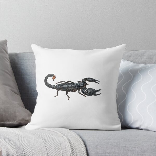 Item preview, Emperor Scorpion Pandinus imperator designed and sold by Chaoscience.