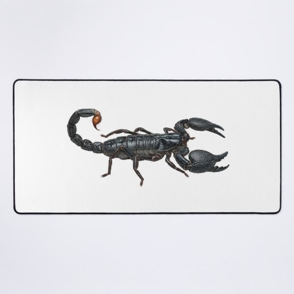 Item preview, Emperor Scorpion Pandinus imperator designed and sold by Chaoscience.