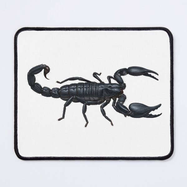 Item preview, Asian Forest Scorpion designed and sold by Chaoscience.