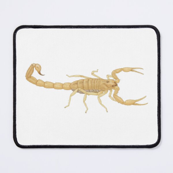 Item preview, Arizona Bark Scorpion designed and sold by Chaoscience.
