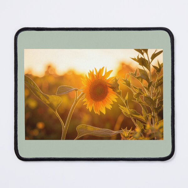 Item preview, Golden Hour Sunflower Bloom designed and sold by Wait, Watch and Wander Shop.
