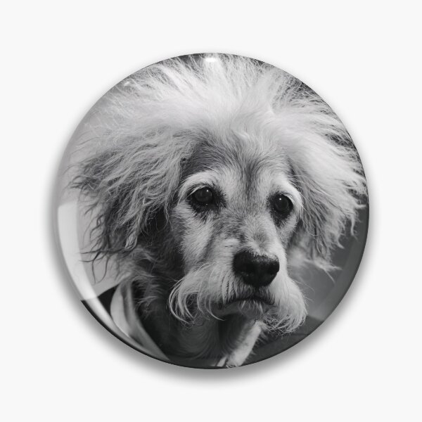 Item preview, Albert Einstein Dog Funny Science Physics Nerd Geek designed and sold by Rokoyo Prints.