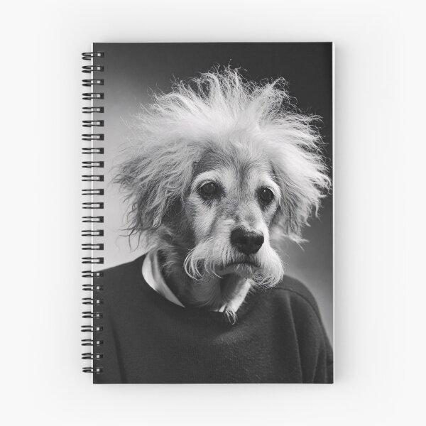 Artikelvorschau, Albert Einstein Hund Lustig Wissenschaft Physik Nerd Geek entworfen und verkauft von Rokoyo Prints.