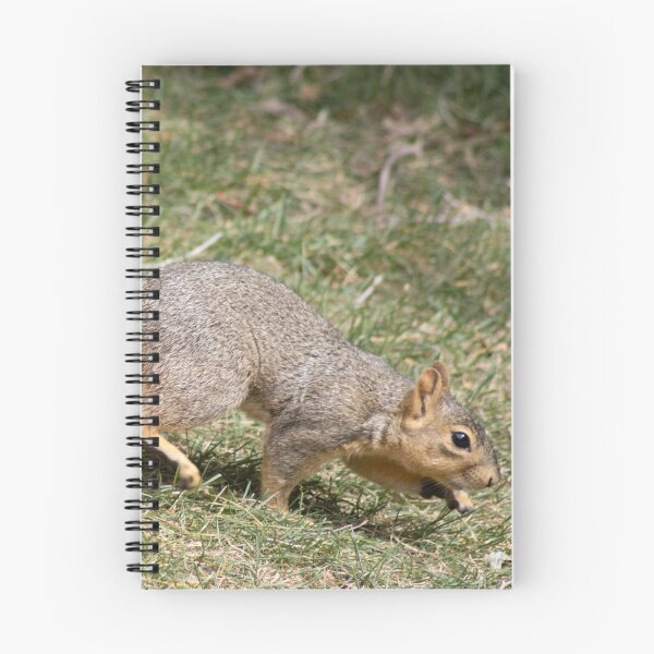 Item preview, American Red Squirrel designed and sold by WilesNailsPower.