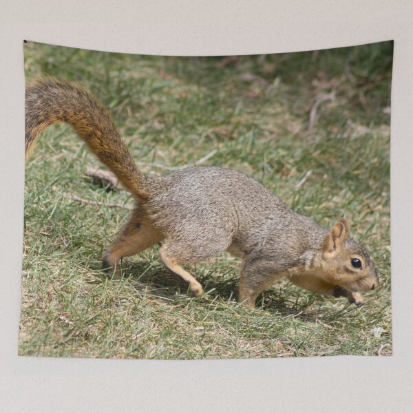 Item preview, American Red Squirrel  designed and sold by WilesNailsPower.