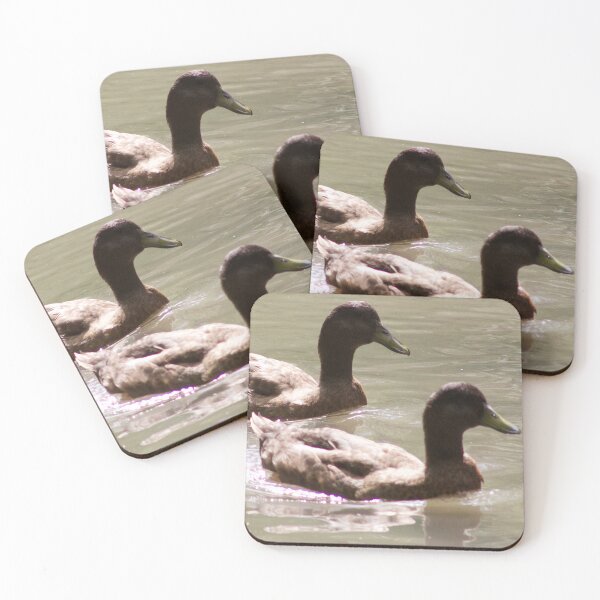 Item preview, Mallard Ducks Swimming designed and sold by WilesNailsPower.