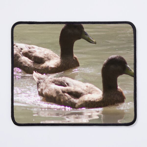 Aperçu de l'œuvre Canards colverts nageant créée et vendue par WilesNailsPower.