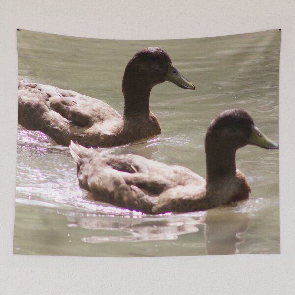 Item preview, Mallard Ducks Swimming designed and sold by WilesNailsPower.