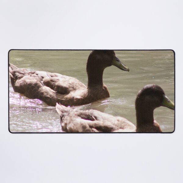Item preview, Mallard Ducks Swimming designed and sold by WilesNailsPower.