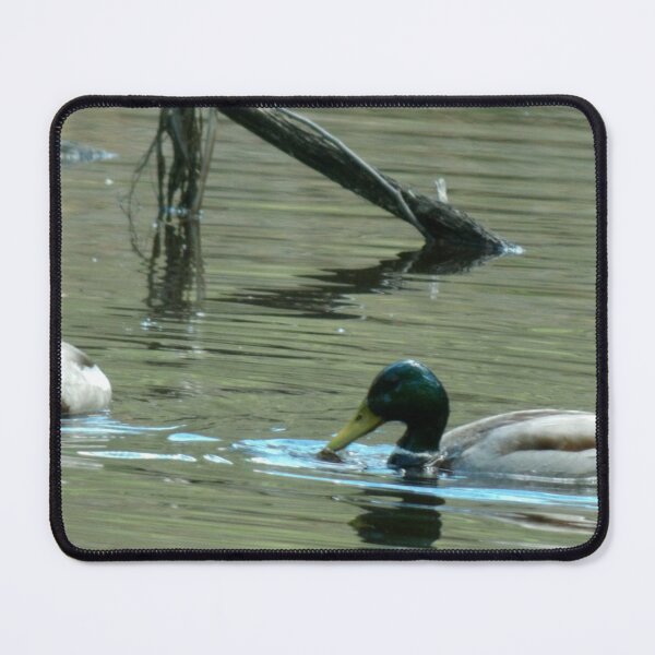 Item preview, THE MALLARD designed and sold by Digital2dreams.