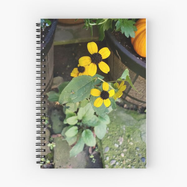 Item preview, Browneyed Susans designed and sold by concretebotany.
