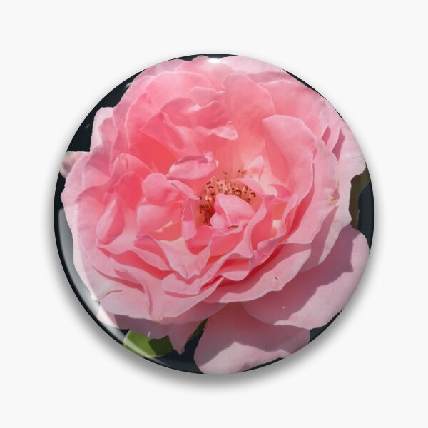Item preview, Big Pink Rose  designed and sold by Amanda1775.