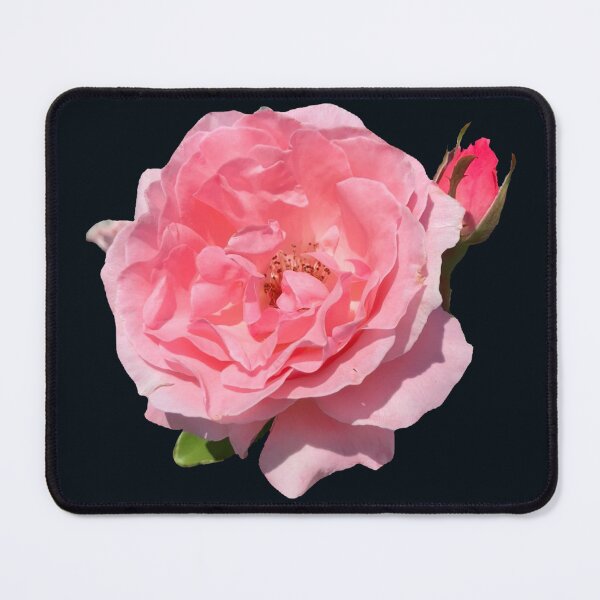 Item preview, Big Pink Rose  designed and sold by Amanda1775.