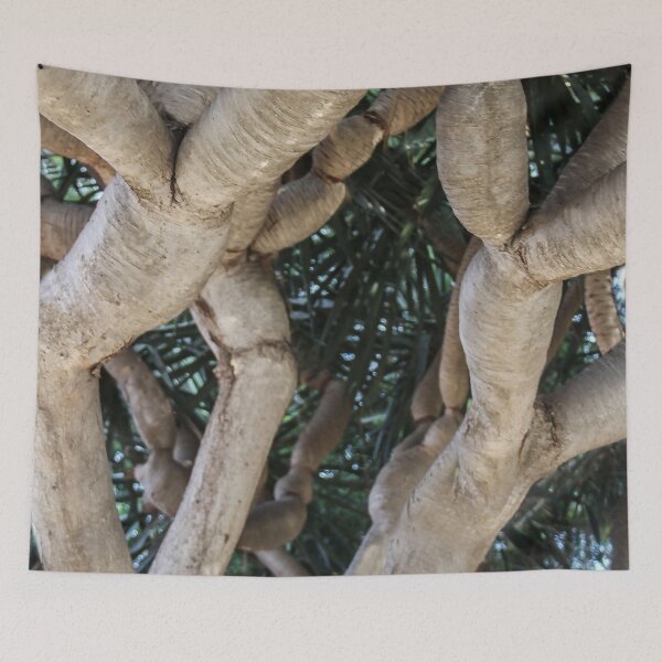 Item preview, Unusual Tree designed and sold by heatherfriedman.
