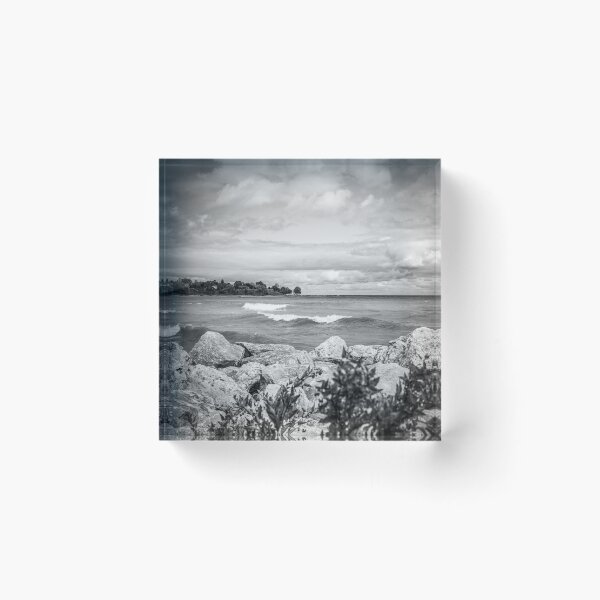 Item preview, Lake Michigan rocks and plants in Sheboygan in black and white designed and sold by TerraMediaLLC.