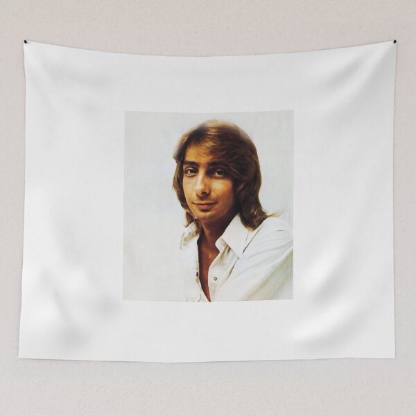 Item preview, Copy of BARRY MANILOW designed and sold by vernewarren1.