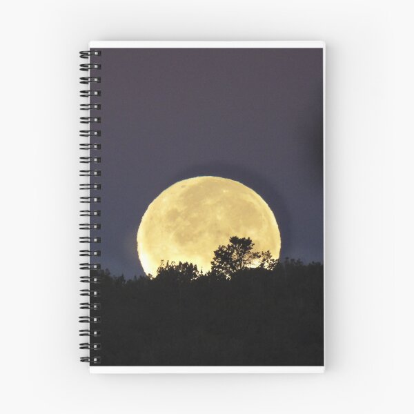 Item preview, supermoon nov 5 2025 designed and sold by DaezieDepictions.