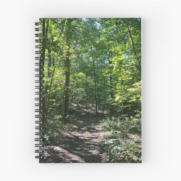 Item preview, Dappled Sunlight Through the Forest  designed and sold by Amanda1775.