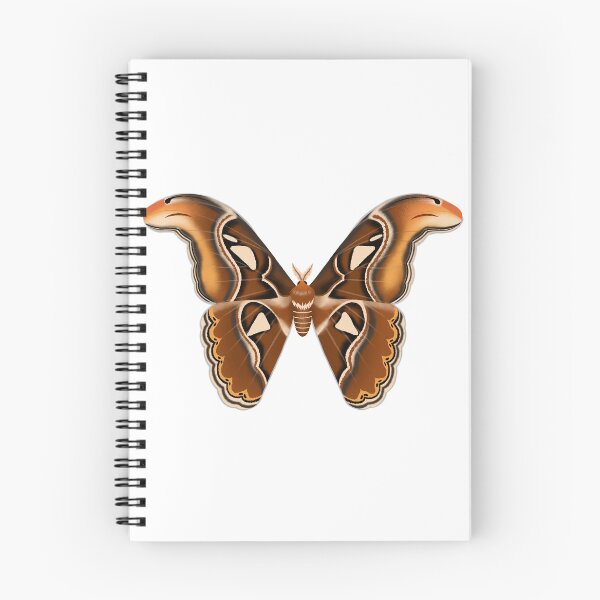 Item preview, Atlas Moth  designed and sold by AaaliceDesigns.