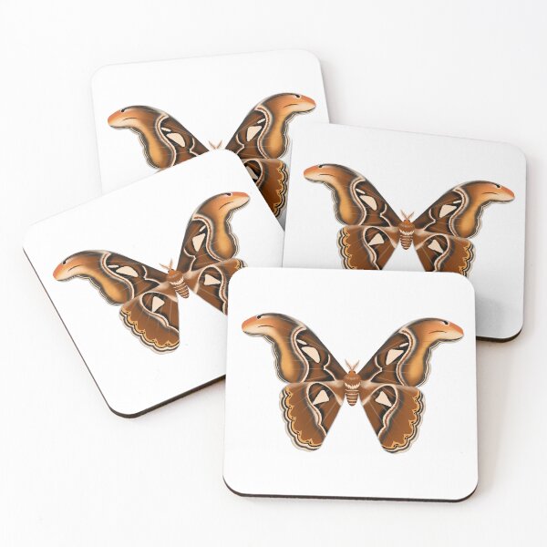 Item preview, Atlas Moth  designed and sold by AaaliceDesigns.
