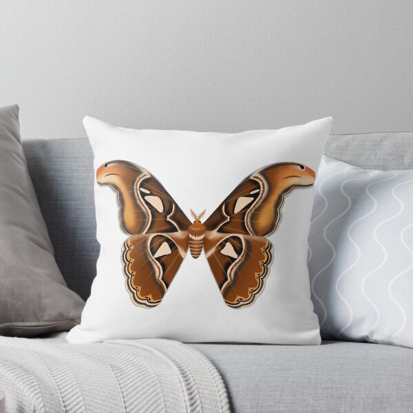 Item preview, Atlas Moth  designed and sold by AaaliceDesigns.