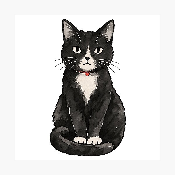Item preview, Tuxedo Cat Sitting Upright Ink Watercolor Art designed and sold by Jessie's Palette.