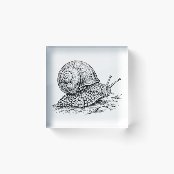 Item preview, Vintage Woodcut Scaly-foot Snail Illustration designed and sold by DuckOddity.