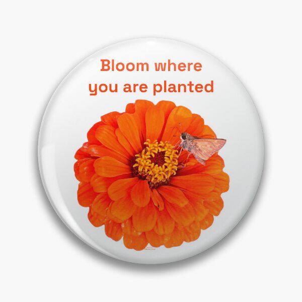 Artikelvorschau, Blühe dort, wo du gepflanzt bist, orange Blume mit Falter entworfen und verkauft von Josephine Ethereal.