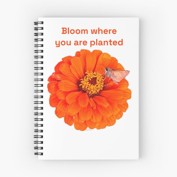 Item preview, Bloom where you are planted, Orange flower with moth designed and sold by Josephine Ethereal.