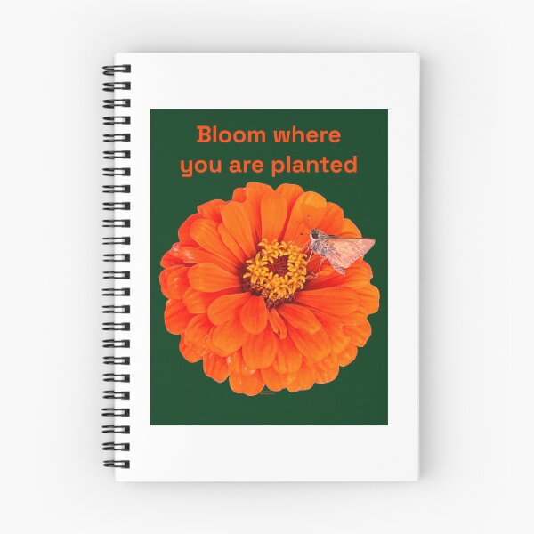 Item preview, Bloom where you are planted, Orange flower with moth, Green background  designed and sold by Josephine Ethereal.