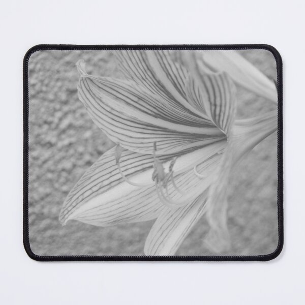 Item preview, B&W - Amaryllis designed and sold by ROSE ANN BANILAR.