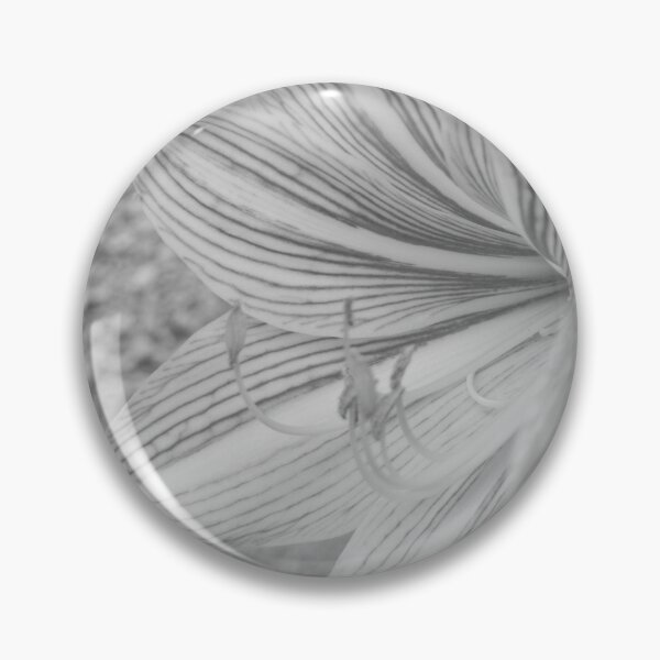 Item preview, B&W - Amaryllis designed and sold by ROSE ANN BANILAR.