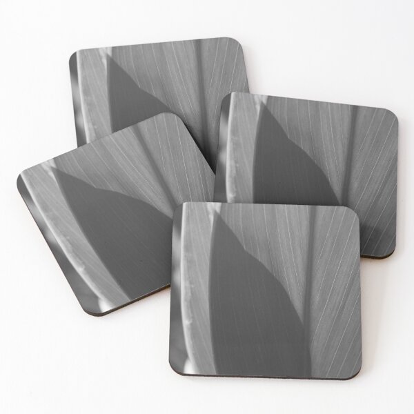 Item preview, B&W - Canna Lily leaves designed and sold by ROSE ANN BANILAR.