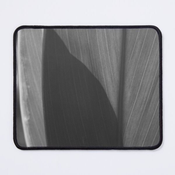 Item preview, B&W - Canna Lily leaves designed and sold by ROSE ANN BANILAR.