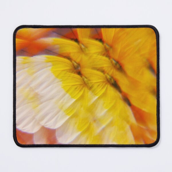 Item preview, Great Southern White: Golden Murmur designed and sold by ElionSolis.