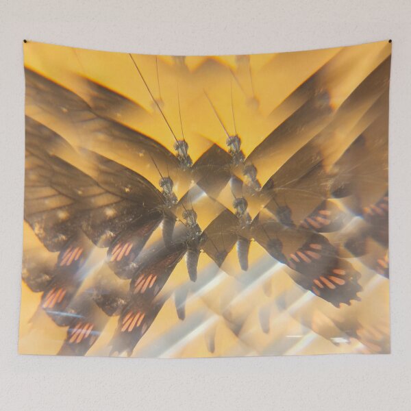 Item preview, Midnight Swallowtail: Velvet Shadow designed and sold by ElionSolis.