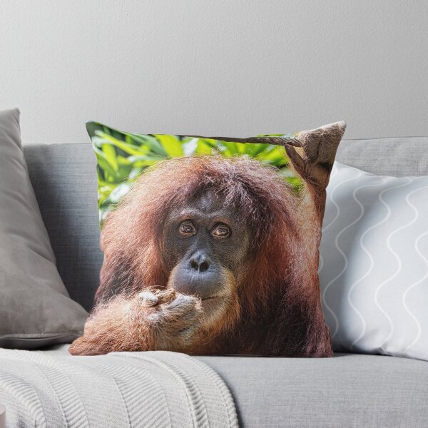 Artikelvorschau, Orang Utan 03 entworfen und verkauft von photograham.