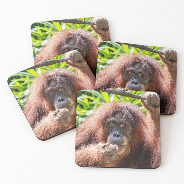 Item preview, Orang Utan 03 designed and sold by photograham.