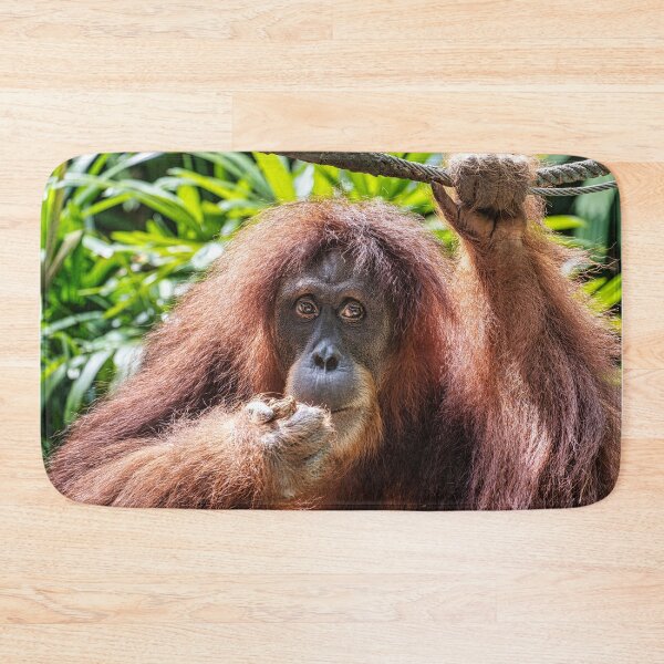 Item preview, Orang Utan 03 designed and sold by photograham.