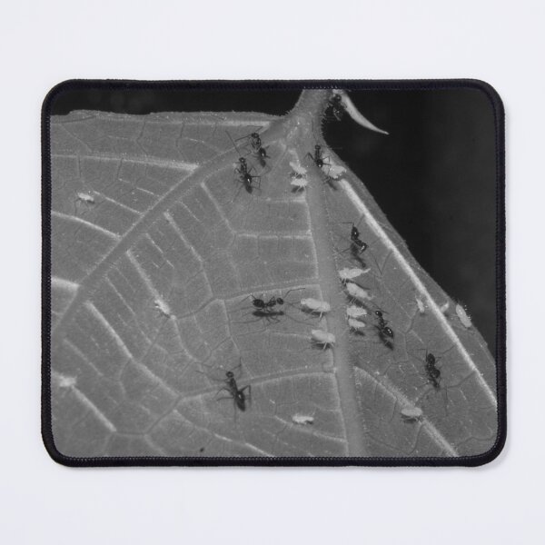 Item preview, B&W - Ants on Aphids designed and sold by ROSE ANN BANILAR.
