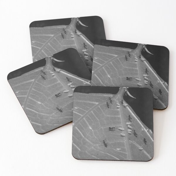 Item preview, B&W - Ants on Aphids designed and sold by ROSE ANN BANILAR.