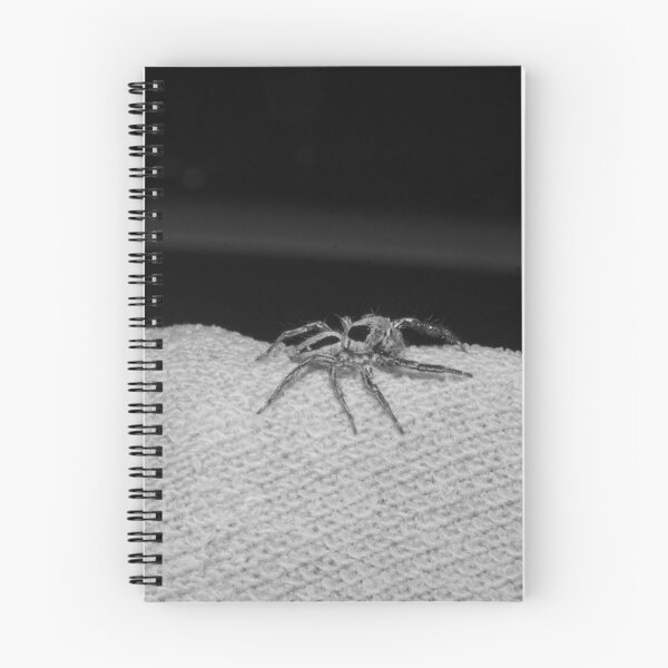 Item preview, B&W - Jumping Spider_05 designed and sold by ROSE ANN BANILAR.