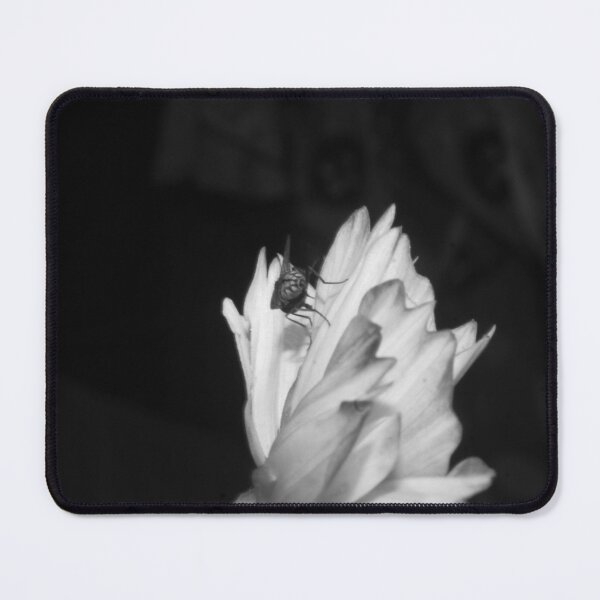 Item preview, B&W - Fly on a Cosmos Flower designed and sold by ROSE ANN BANILAR.
