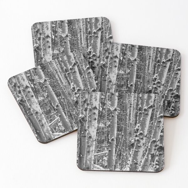 Item preview, Snow on Birch designed and sold by DawsonImages.