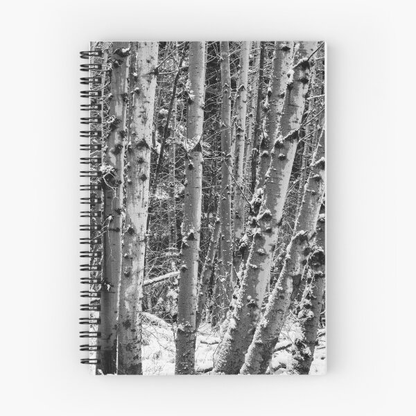 Item preview, Snow on Birch designed and sold by DawsonImages.