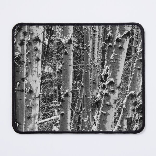 Item preview, Snow on Birch designed and sold by DawsonImages.