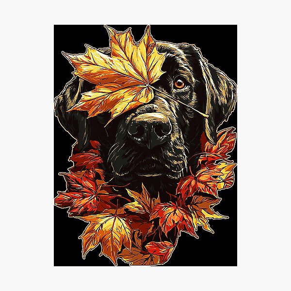 Item preview, Fall Black Labrador with Maple Leaves Cute Autumn Dog Premium Tri-Blend designed and sold by DienesAngele.