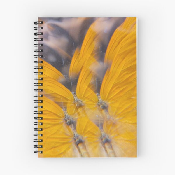 Item preview, Clouded Sulphur Sunburst: Sunshine Secret designed and sold by ElionSolis.